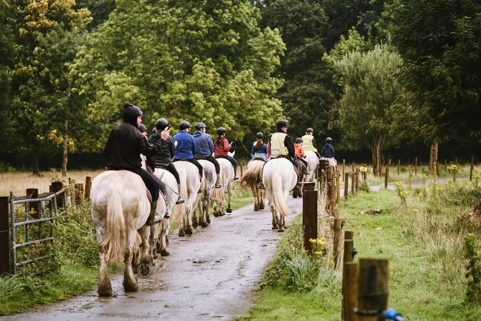 Organising a Summer Sports Outing in Birmingham: Transportation Tips