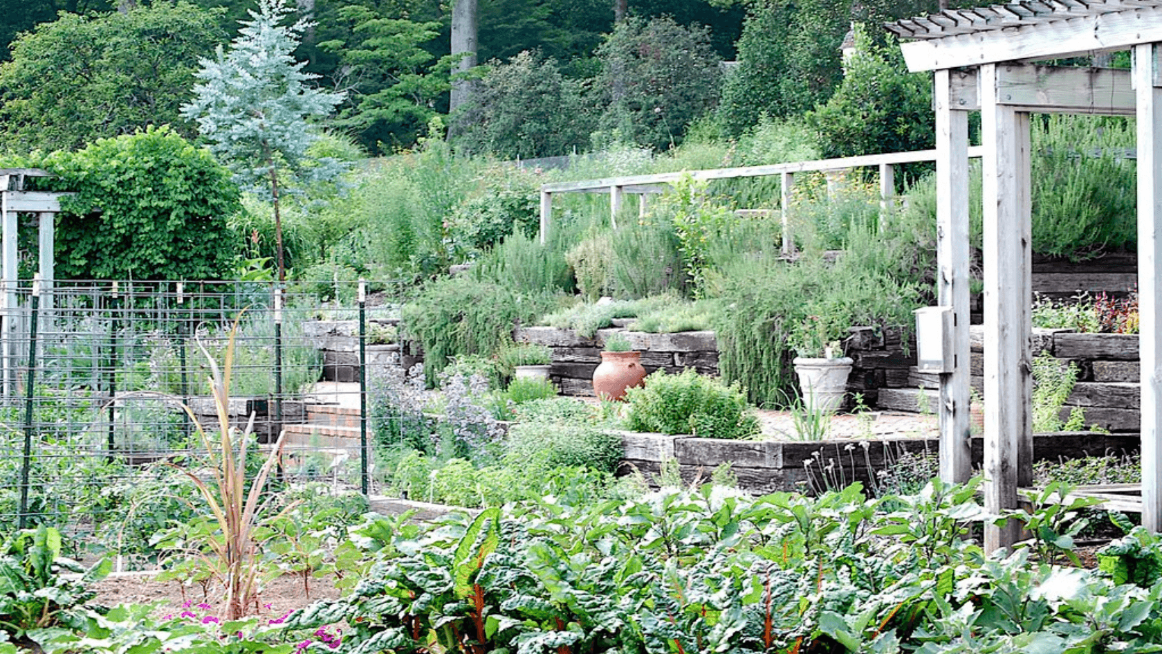 Discover the Beauty of Birmingham Botanical Gardens